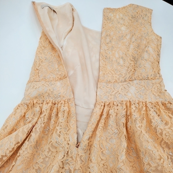 Loft Peach and Silver Metallic Pleated Lace Dress - Picture 6 of 9
